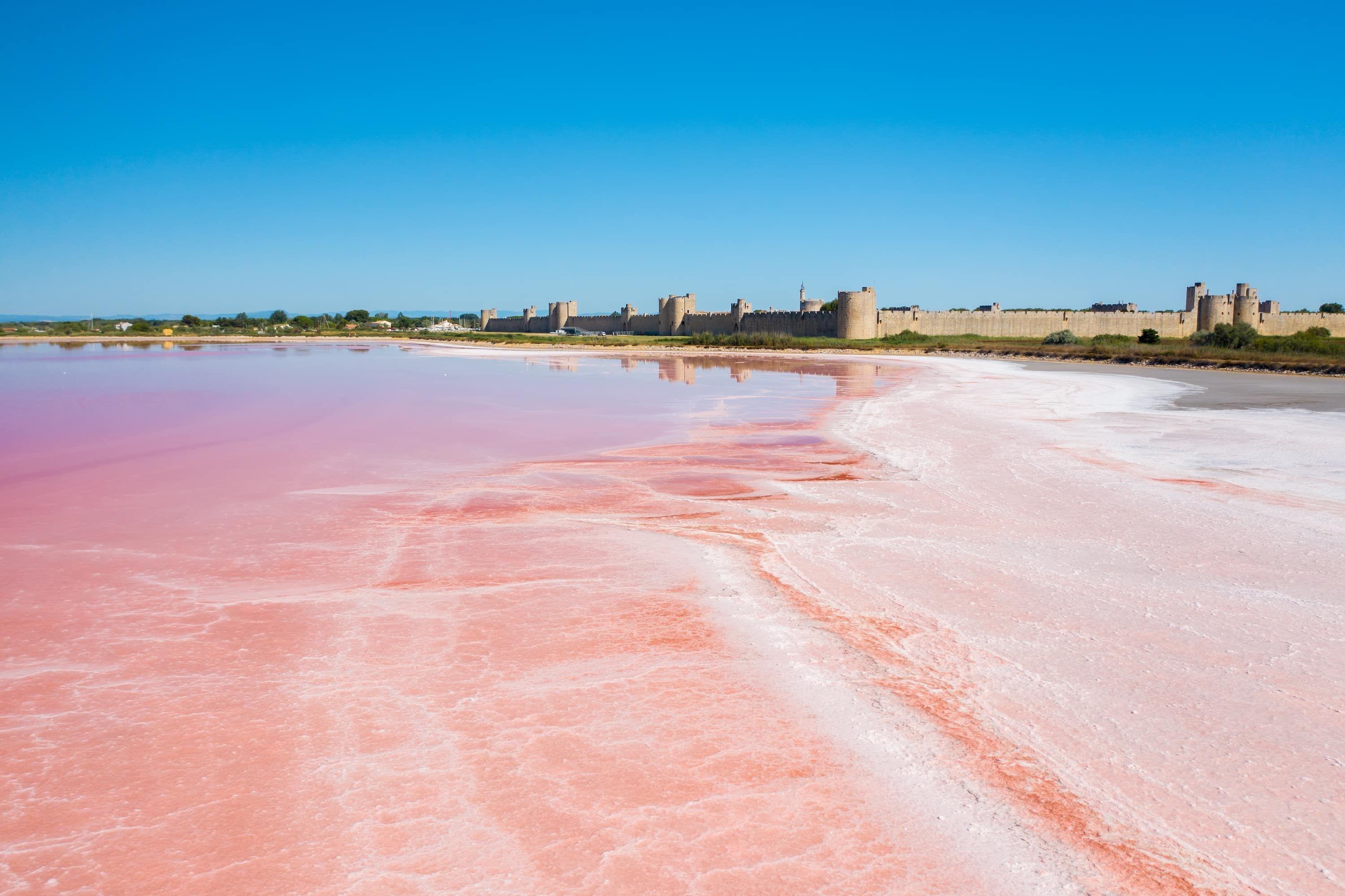 Découverte des Salins d'Aigues-Mortes